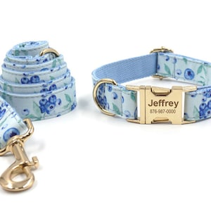 Collier pour chien avec laisse, Collier pour chien avec nom, Collier pour chien avec arc, impression Myrtille.
