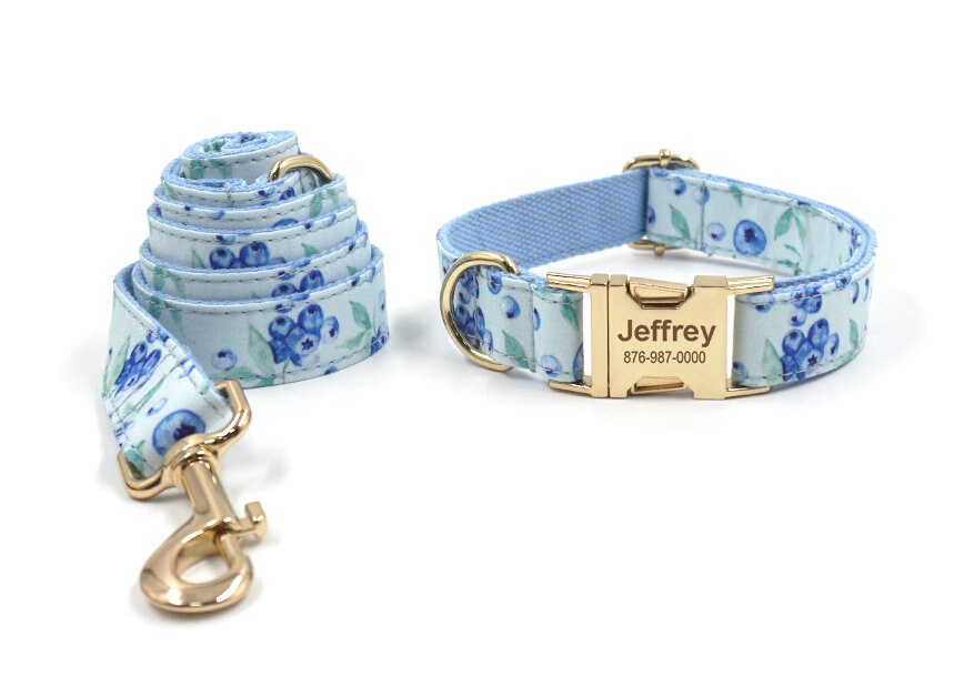 Blueberry dog cheap leash