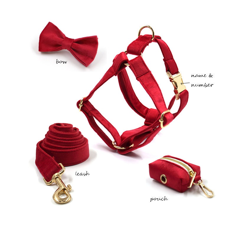 Dog harness Personalized dog Harness with name Green and Etsy