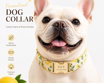 Personalized Floral Dog Collar and Leash Set, Custom Name Dog Collar, Adjustable Puppy Collar, Cute Flower Pet Collar, Girl Dog Gift