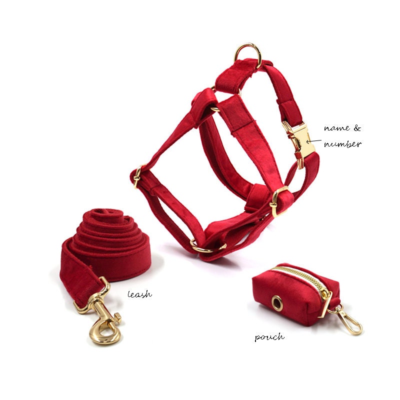 Dog harness Personalized dog Harness with name Green and Etsy