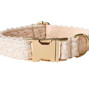 May include: A white and cream dog collar with a gold buckle and D-ring. The collar features a delicate lace pattern.