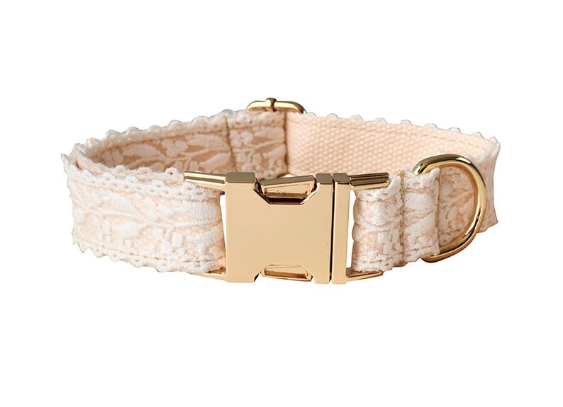 May include: A white and cream dog collar with a gold buckle and D-ring. The collar features a delicate lace pattern.