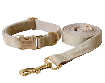 May include: A beige velvet dog collar and lead set with a gold buckle and a personalised name tag that reads "PHOEBE 883-457-8000".