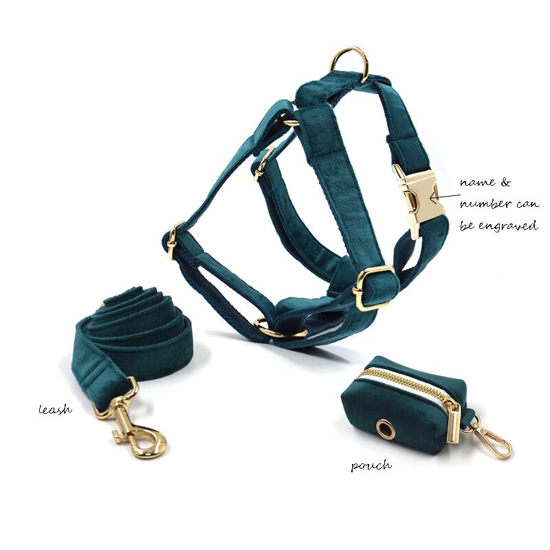 Dog harness Personalized dog Harness with name Green and Etsy