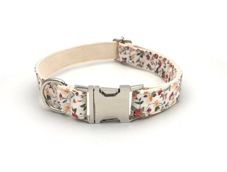 May include: A white dog collar with a floral pattern featuring small red, orange, and yellow flowers. The collar has a silver buckle and a silver D-ring.