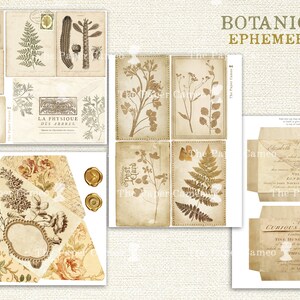 Op de afbeelding: Een set vintage botanische illustraties en ephemera met verschillende planten, bloemen en varens. De illustraties zijn in tinten bruin en beige, met een vintage esthetiek. De set bevat verschillende elementen, waaronder enveloppen, labels en ansichtkaarten.