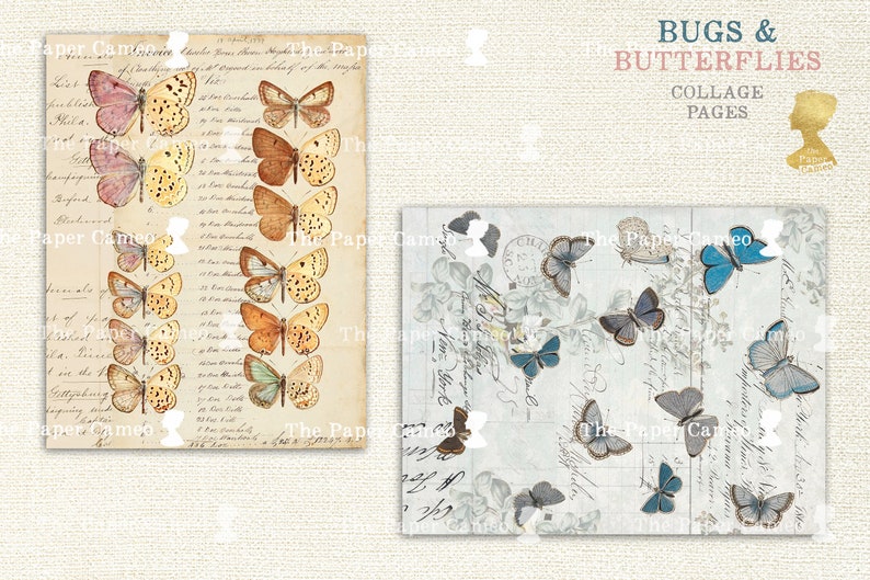 Paper Collaged Insects BUGS and BUTTERFLIES Printable Digital, Antique Insect Illustration ...