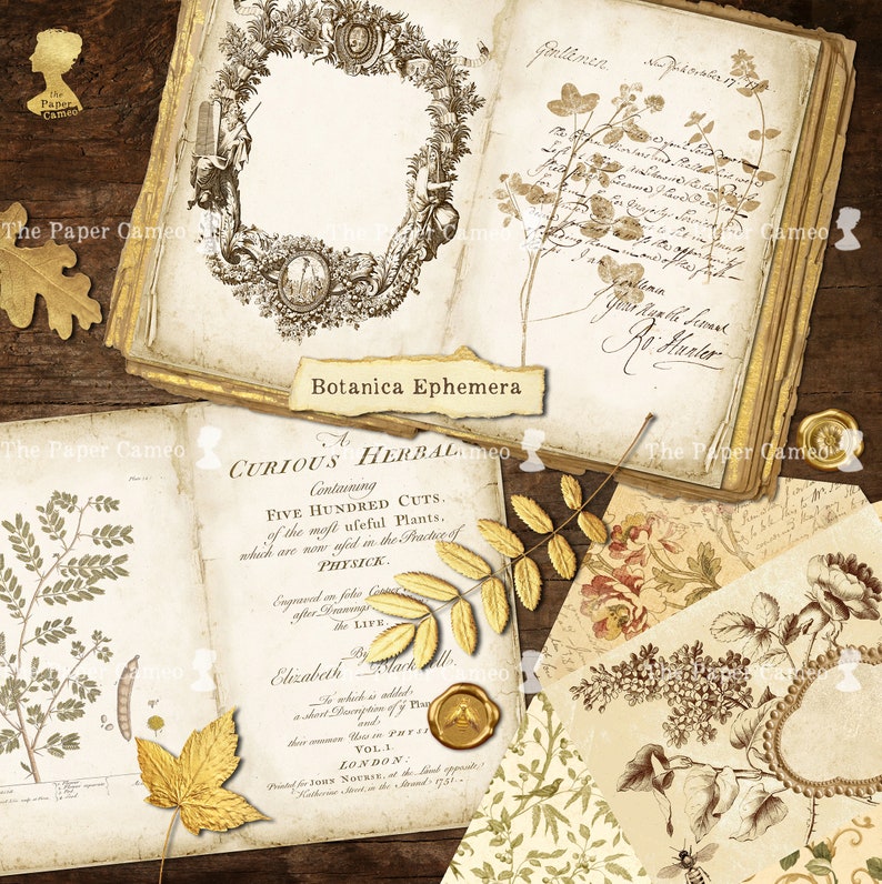 Op de afbeelding: Een vintage boek getiteld "A Curious Herbal" met een waszegel en een botanische illustratie van een plant. Het boek is open op een pagina met tekst over de inhoud van het boek. Het boek is omringd door gedroogde bladeren en bloemen.