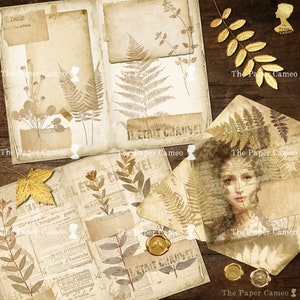 Op de afbeelding: Een collage van vintage papieren ephemera met een botanisch thema. De papieren bevatten geperste varens, bladeren en bloemen, samen met handschrift en een waszegel. De papieren zijn gerangschikt op een houten achtergrond.