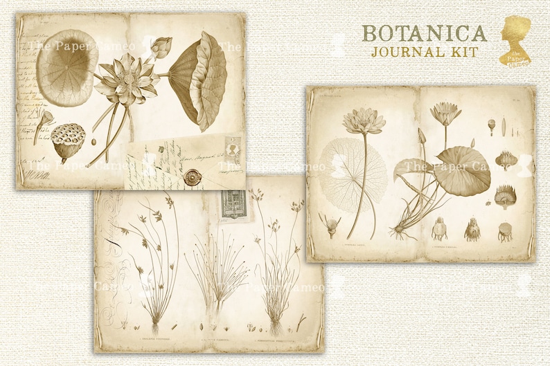 BOTANICA Journal Printable Digital Download, Vintage Botanical Digitals ...