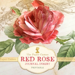 Encarte de diário para impressão RED ROSE, artesanato em papel pop-up com rosas, itens efêmeros de rosas para impressão, itens efêmeros botânicos para impressão, colagem de rosas em papel