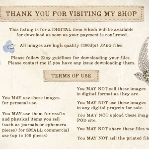 May include: A digital download graphic design terms of use image with a white background and text that reads "Thank you for visiting my shop." The text is in a brown font with a white outline. The image also includes a small illustration of a bird with a pearl-like design and a small illustration of an eye with a pearl-like design.