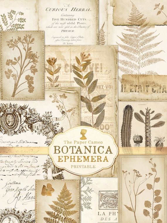 BOTANICA Ephemera, Botanical Printable Digital, Vintage Botanical Digitals, Antique Botanical Printables, Junk Journal Collage Papers, Digi