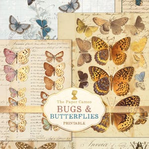 BUGS and BUTTERFLIES Printable Digital, Antique Insect Illustration Printables, Insect collage Papers, Botanic Printables, Insect Ephemera