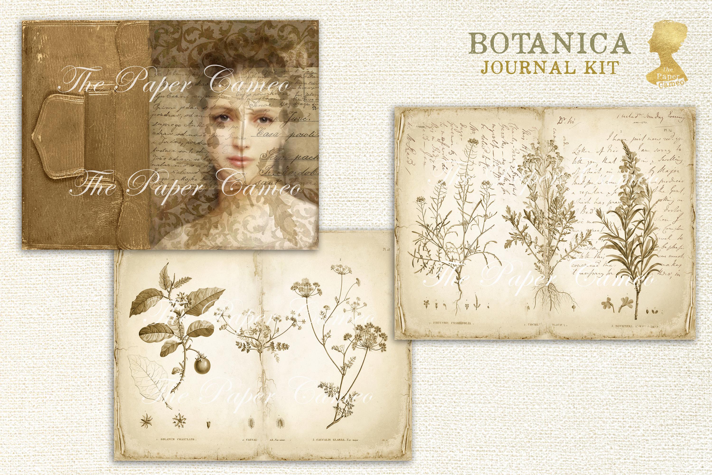 BOTANICA Journal Printable Digital Download, Vintage Botanical Digitals ...