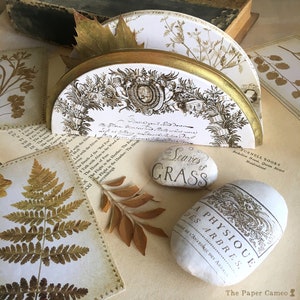 Op de afbeelding: Een wit houten decoratief rek met een gouden rand en een bloemenpatroon. Het rek is versierd met een kleine steen met de woorden "Seaves of Grass" en een andere steen met de woorden "A Physique des Arbres." Het rek staat op een tafel met een boek en andere decoratieve items.