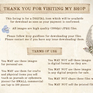 May include: A digital download of high-quality images, perfect for personal use or small commercial projects. The images are 300dpi JPEG files. The text on the image reads "Thank you for visiting my shop. This listing is for a DIGITAL item which will be available for download as soon as your payment is confirmed. All images are high quality (300dpi) JPEG files. Please follow Etsy guidelines for downloading your files. Please contact me if you have any issue downloading them. TERMS OF USE You MAY use these images for personal use. You MAY use them for crafts and physical items you sell (such as journals or ephemera pieces) for SMALL commercial use (up to 100 pieces) You MAY NOT sell these images in digital format as they are. You MAY NOT use these images in any digital projects for sale. You MAY NOT share these files with others. You MAY NOT sell the printed files as they are."