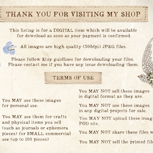 May include: Digital item announcement with text "THANK YOU FOR VISITING MY SHOP". Includes a cameo silhouette, floral accents, and a jeweled bird illustration. The text details usage terms for personal and small commercial use.