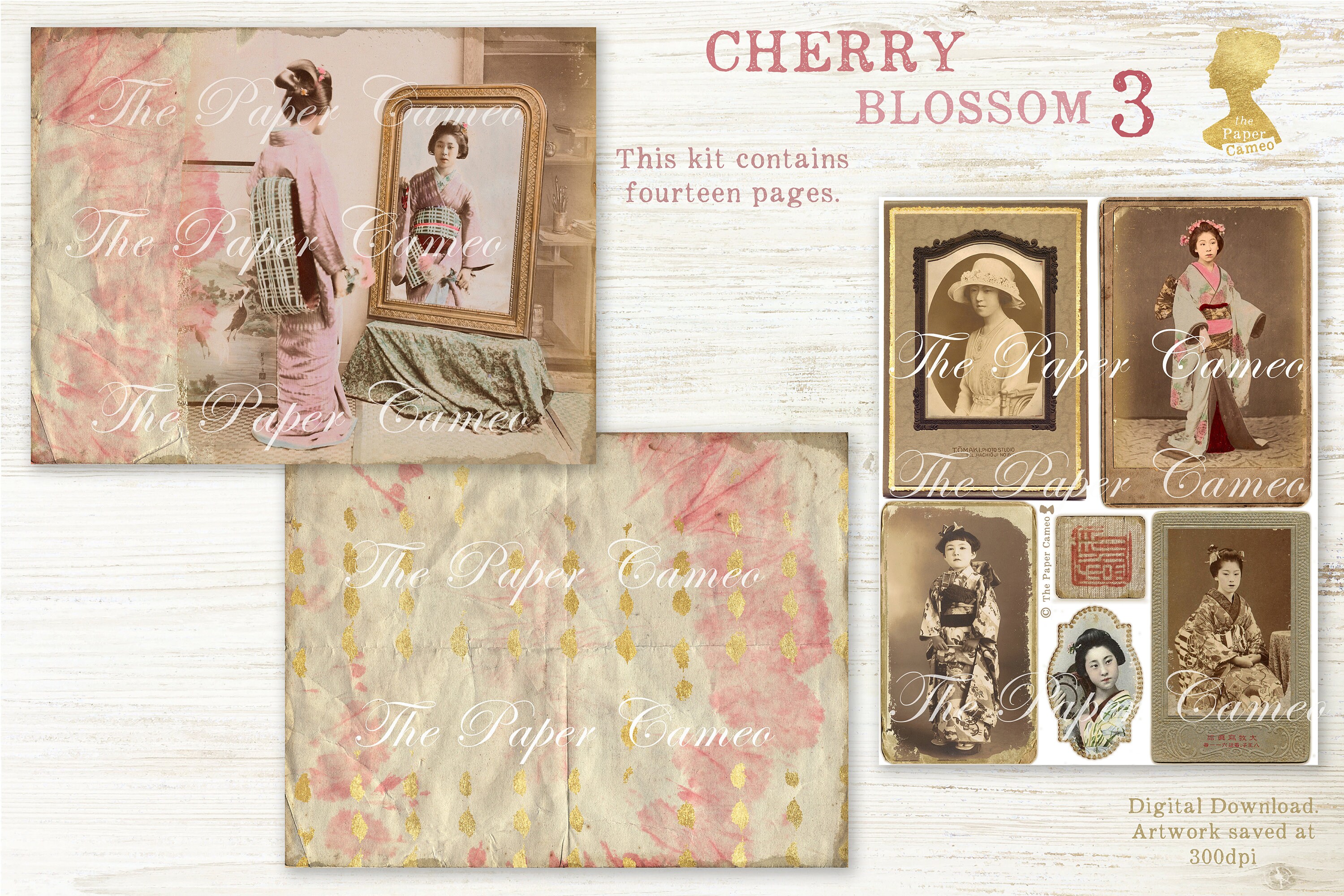 CHERRY BLOSSOM 3 Digital, Japanese Theme Printable, Spring Junk