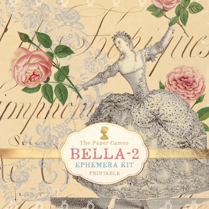BELLA 2, Shabby French Style Ephemera stampabile, Download digitale della moda francese, Pagine di diario floreale vintage, Diario Shabby Chic, Digi