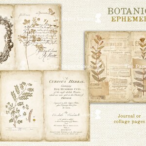 Op de afbeelding: Een set vintage botanische ephemera met afbeeldingen van planten en tekst. De afbeeldingen zijn in tinten bruin en cr&egrave;me, en de tekst is in een handschrift. De ephemera zijn perfect voor scrapbooking, kaart maken of andere knutselprojecten.