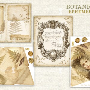 Op de afbeelding: Een set met vintage-stijl printbare ephemera met botanische illustraties, waaronder varens, bladeren en bloemen. De ephemera is gedrukt op verouderd papier met een verweerde look en bevat tekst in het Frans. De set bevat een verscheidenheid aan vormen en maten, perfect voor scrapbooking, kaartmaken of andere papierkunst.
