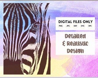 Download Zebra Mandala Etsy