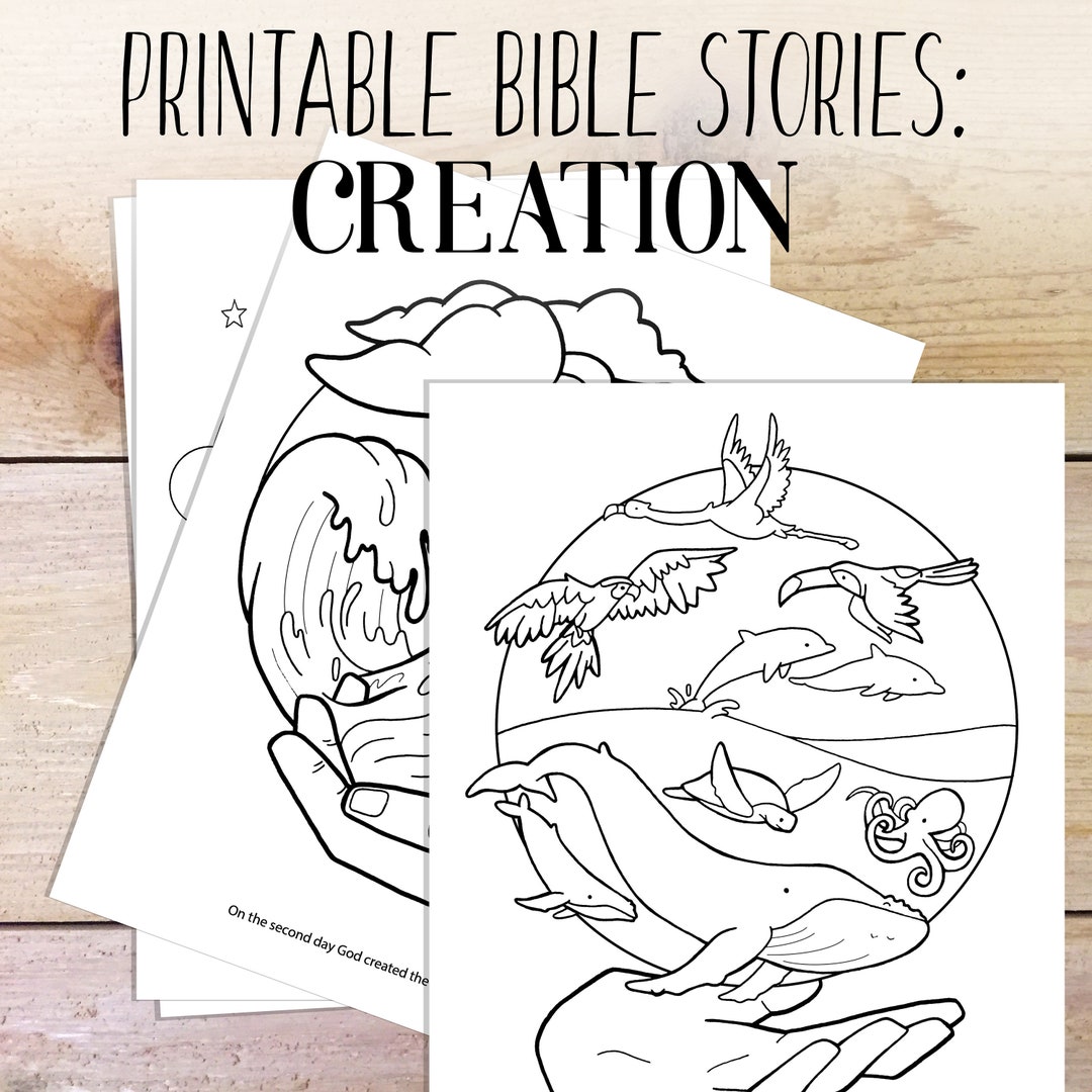 Bible Study Creation Story Kids Coloring Bible Printable Homeschool Family Bible Study Coloring Pages - Etsy bible-study-creation-story-kids-coloring-bible-printable-homeschool-family-bible-study-coloring-pages-etsy