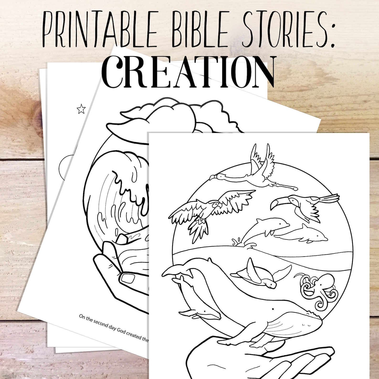 Bible Study | Creation Story | Kids Coloring | Bible Printable