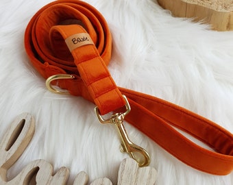 Baxie luxury pumpkin orange velvet dog leash, handmade orange dog leash, orange velvet leash, multiposition dog leash, handsfree dog leash