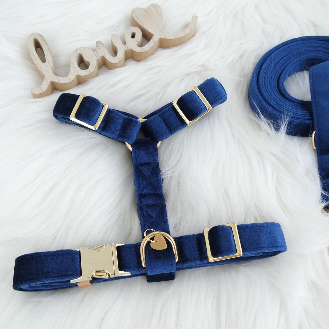 Baxie Adjustable Blue Dog Harness Velvet Dog Harness Etsy