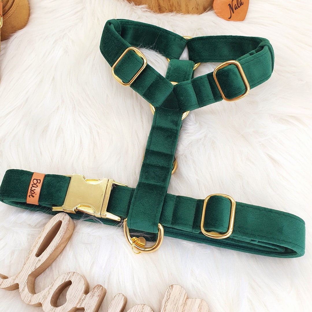 Baxie Adjustable Emerald Green Dog Harness Velvet Dog Etsy