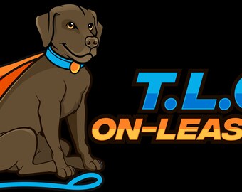 fatta in casa dolceillino naturale per cani