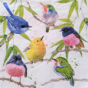 3 Decoupage Paper Napkins | Tropical Songbirds | Crafting Tissue |