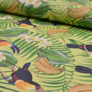 Decorative Gift Wrap | Printed Paper | Toucan Jungle | One Large Sheet | Italian Quality | #7001 |