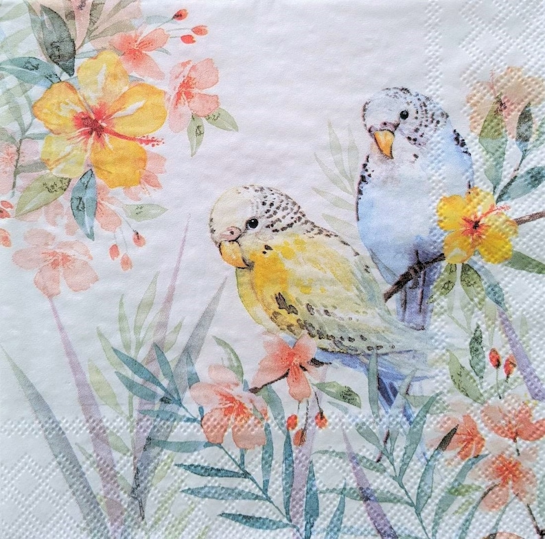 3 Decoupage Paper Napkins Pastel Budgies Tropical Birds Etsy