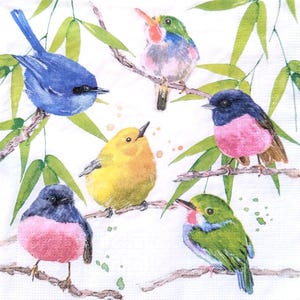 20 Pack Decorative Paper Napkins | Tropical Songbirds | Decoupage Crafting Tissue  |