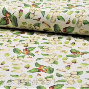 Decorative Gift Wrap | Printed Paper | Pistachio Nuts | One Large Sheet | Italian Quality | #7003 |