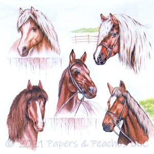 May include: Watercolor illustration of five horse heads in various poses. The horses have brown and white coats, with some wearing bridles. The background includes a wooden fence and green grass. The image is signed "2021 Papers & Peaches LLC."