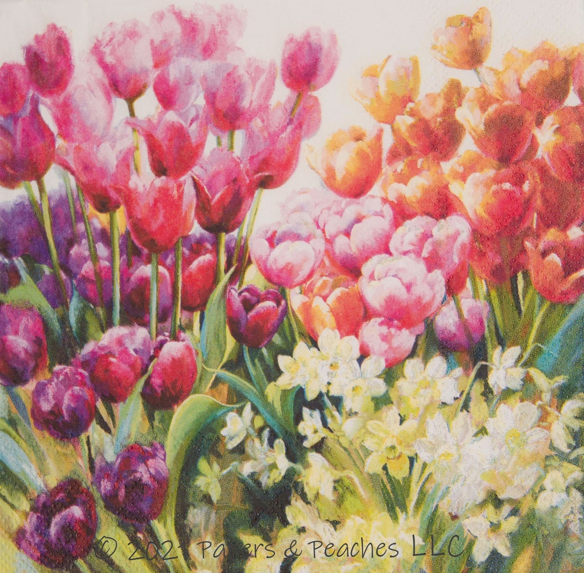 Types of tulips image