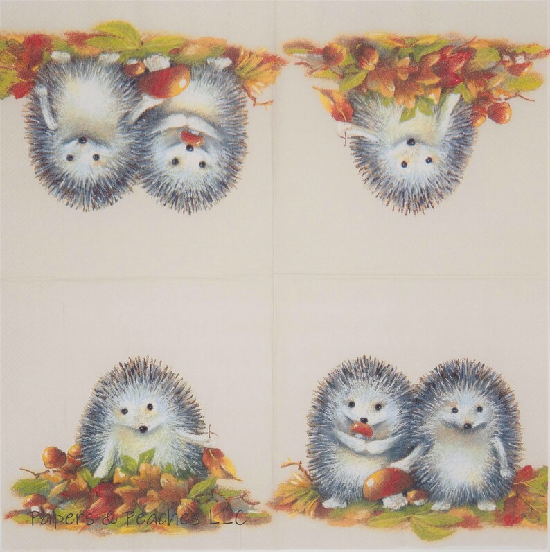 2 Decoupage Napkins Adorable Hedgehogs Paper Napkins Etsy
