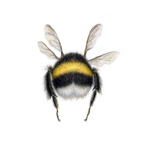 PRINT flying bumblebee, bumblebees butt, realistic bumblebee wall art, zoological illustration bee, insect watercolour, entomology art bee