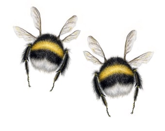 PRINT 2 fliegende Bienen, Hummeln Hintern, realistische Hummel Wandkunst, süße Hintern, Zoologie Illustration Biene, Insekten Hintern, Entomologie Kunst Biene