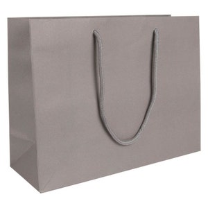 May include: A grey paper gift bag with rope handles.