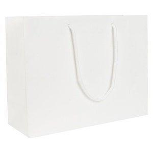 May include: A white paper gift bag with white rope handles.