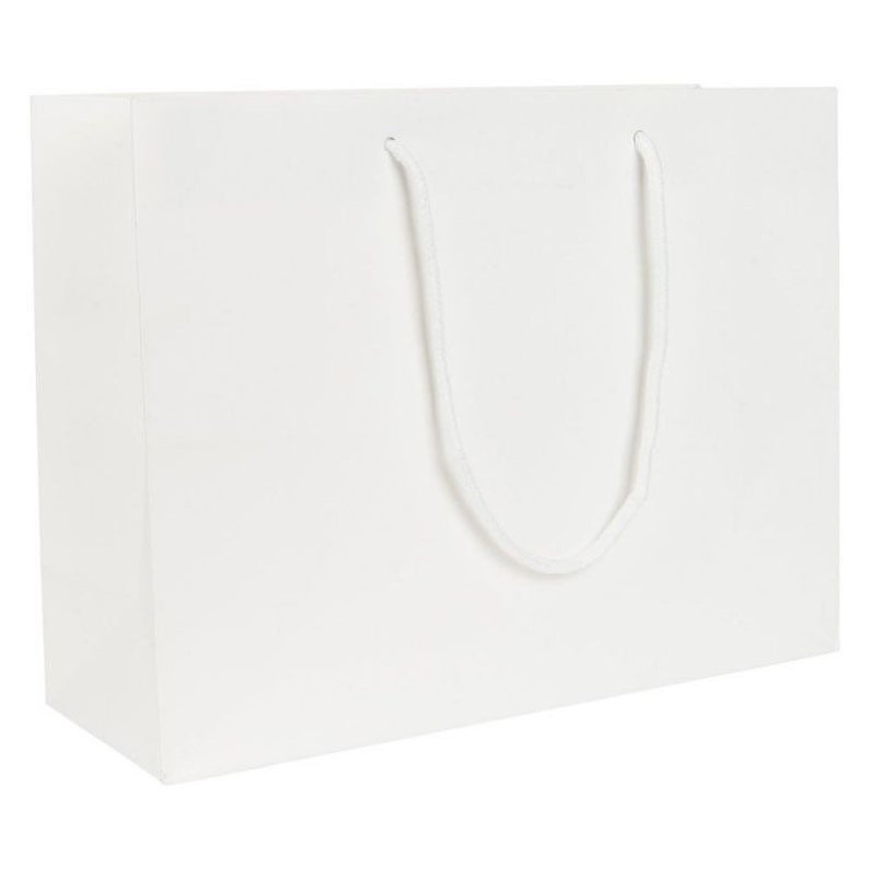 May include: A white paper gift bag with white rope handles.