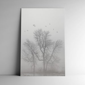 Landscape Photography - Grilli - 11x17 Giclee - Black & White Wall Art