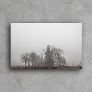 Landscape Photography - Grilli - 11x17 Giclee - Black & White Wall Art