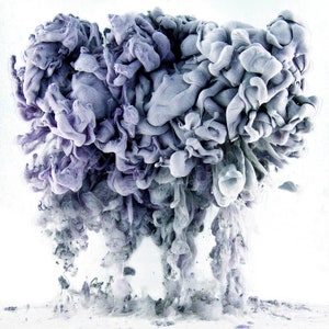 Contemporary Photography - Elephant - 11x17 Giclee Wall Art